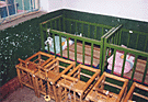 Photo of two orphanage cribs